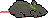 rat